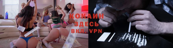 дживик Мурманск
