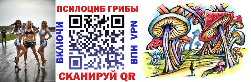 Псилоцибиновые грибы мухоморы  Медвежьегорск 